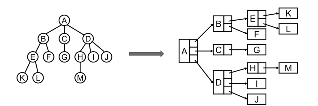 image-20240825031230584