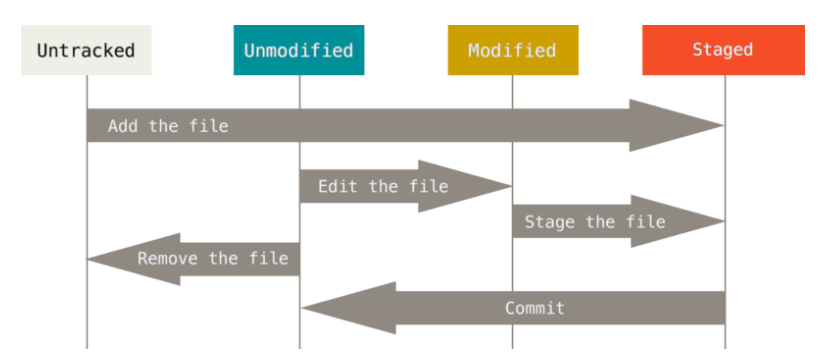 image-20230425203622113